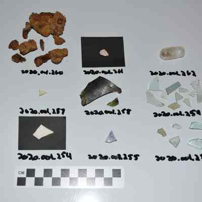Sherd