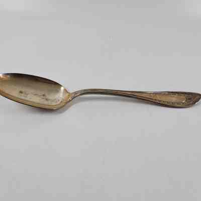 Dessert Spoon