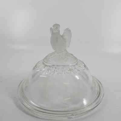 Front of eagle on glass lid