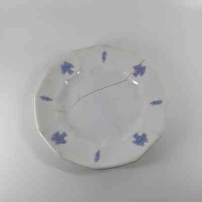Plate
