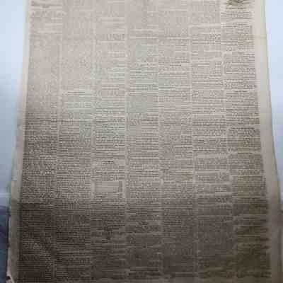Newspaper
