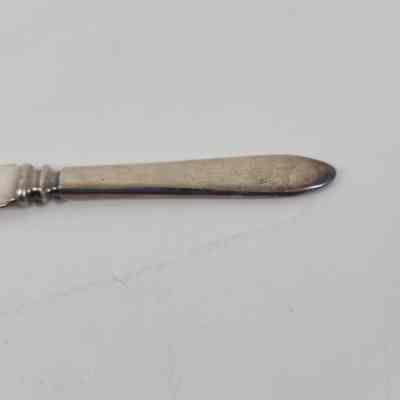 Fruit knife handle