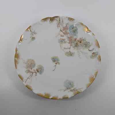 Plate, Salad