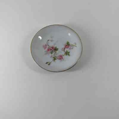 Saucer