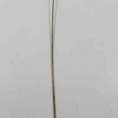 Pin with slight curve