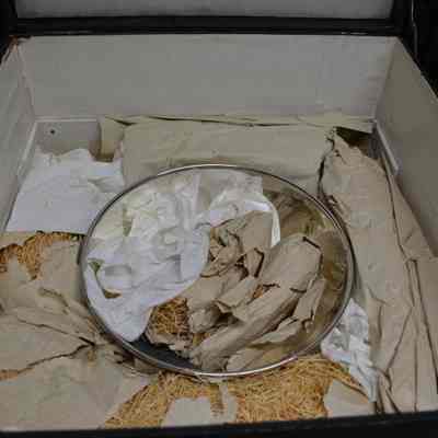 2022.003.001- bowl in storage box: Origformat: Artifact