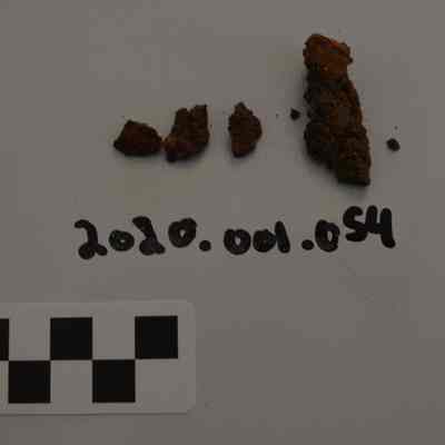 Fragment