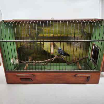 Bird Cage