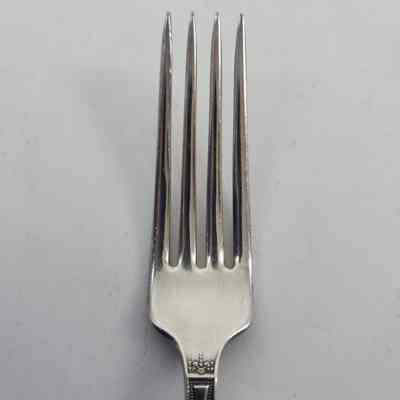 Tines of silver dinner fork