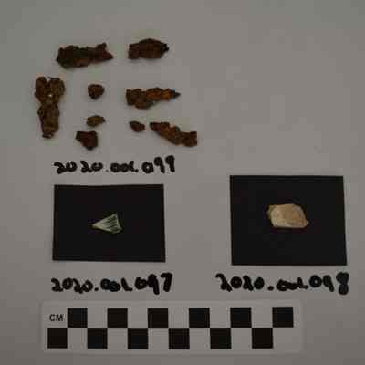 Sherd