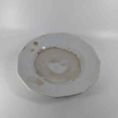Dinner Plate