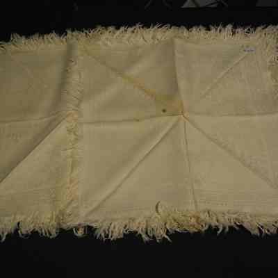Napkin