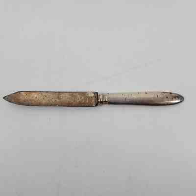 Fruit Knife