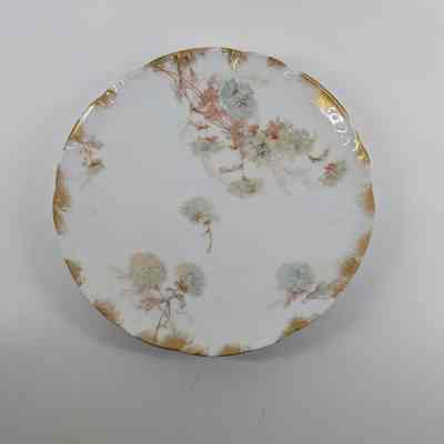 Plate, Salad