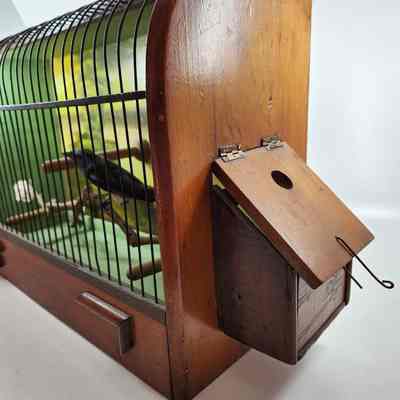 Seed box on the right side of th ebird cage