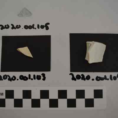 Sherd