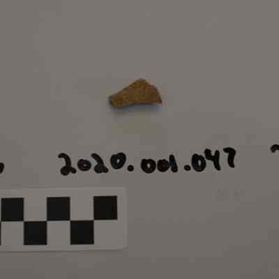 Sherd