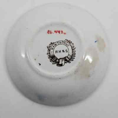 Bottom of saucer with makers mark "Hawthorne R H & S"