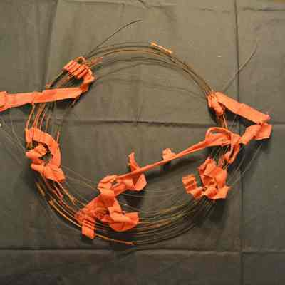 Hoop Skirt