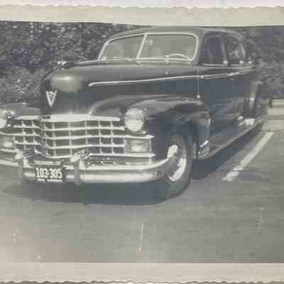 Photograph