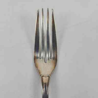 Prongs of dinner fork