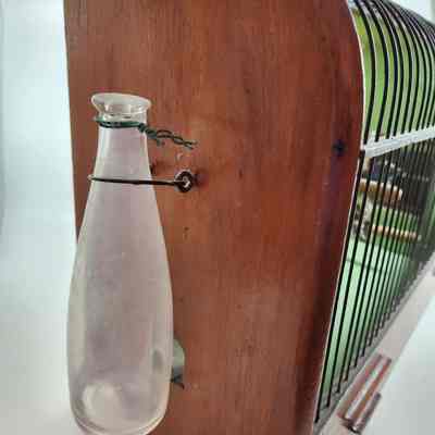 Water bottle on the left of the birdcage
