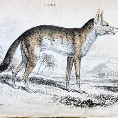 Etching