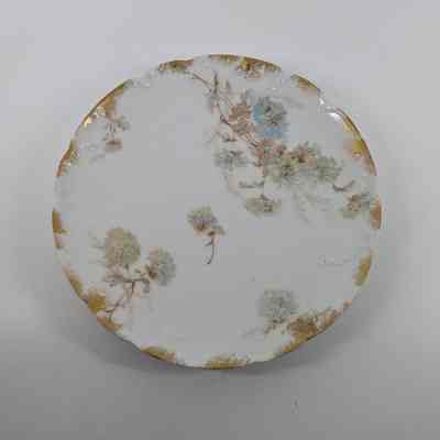 Plate, Salad