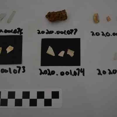 Sherd