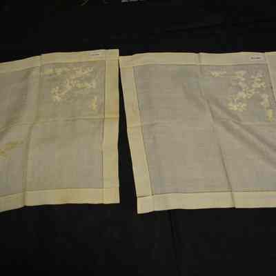 Napkin