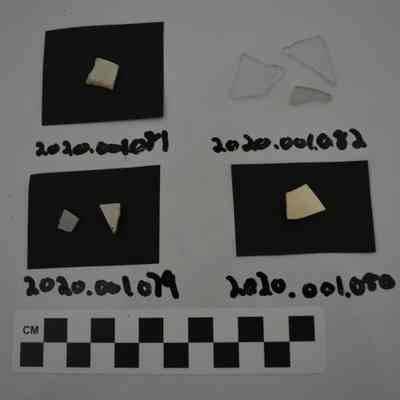 Sherd