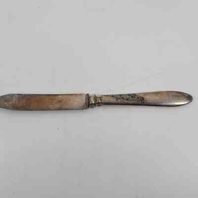 Fruit Knife