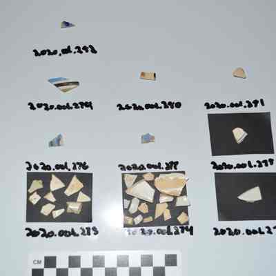 Sherd