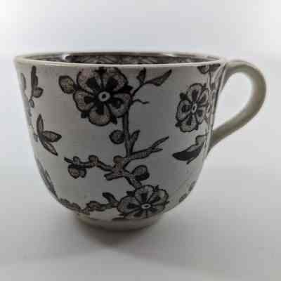 Teacup