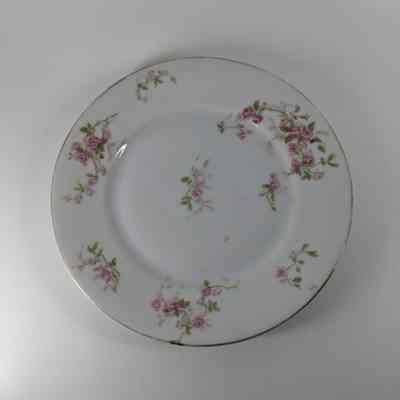 Salad Plate