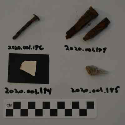 Sherd