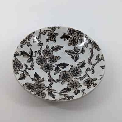 Saucer