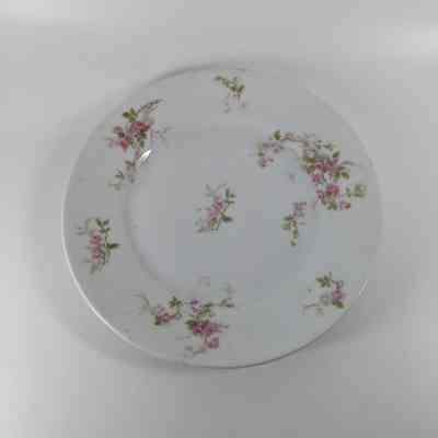 Salad Plate