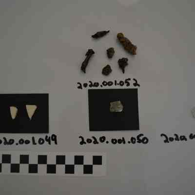Sherd