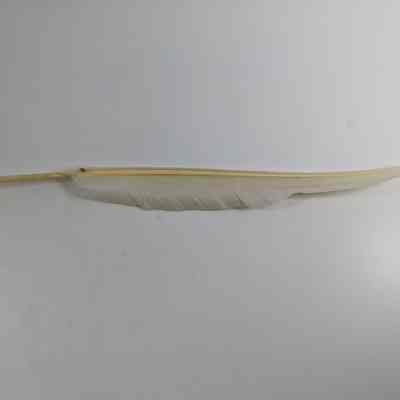 Quill