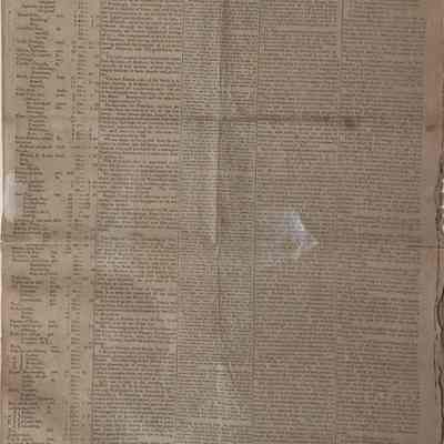 Newspaper