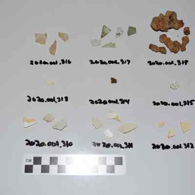 Sherd