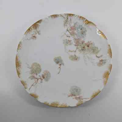 Plate, Salad