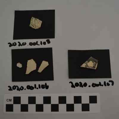 Sherd