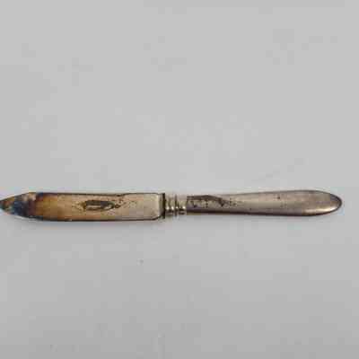 Fruit Knife