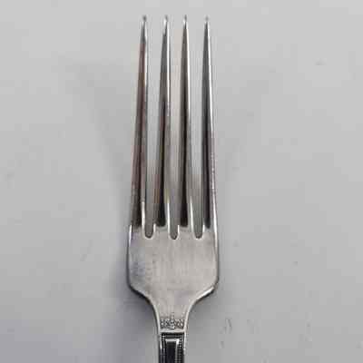 Tines of silver dinner fork