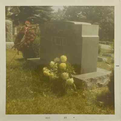 Photograph