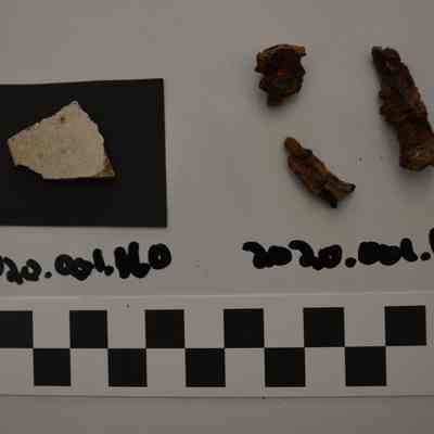 Sherd