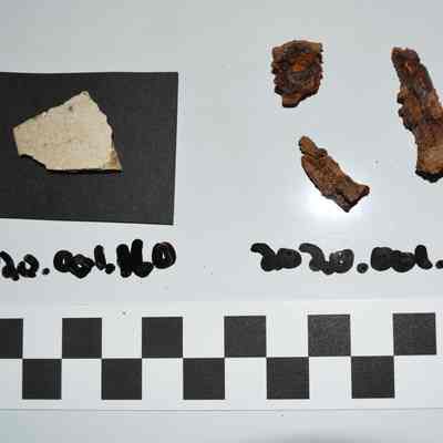 Sherd - 2020.001.160: Origformat: Artifact