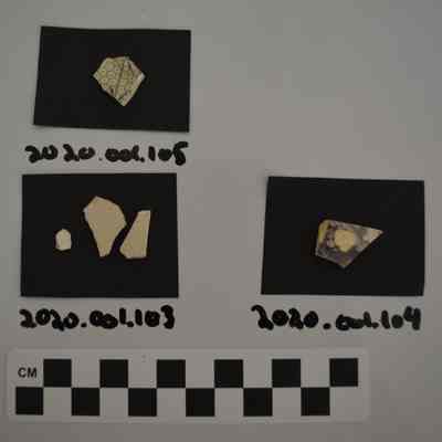 Sherd
